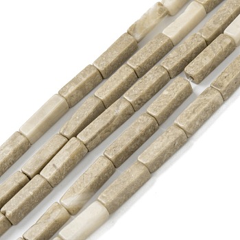 Natural Fossil Beads Strands, Cuboid, 12~13x4x4mm, Hole: 1.2mm, about 29~30pcs/strand, 15.24''~15.63''(38.7~39.7cm)