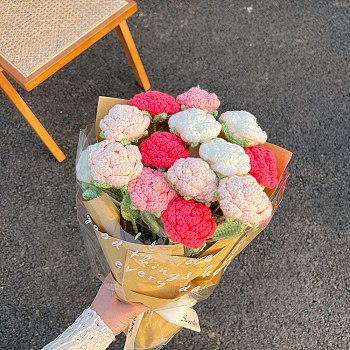 Crochet Rose Bouquet Set for Beginners, Flower Display Decoration Knitting Starter Kit with Instruction, DIY Handmade Valentin's Day Gift for Girlfriend, Cerise, 38x5cm