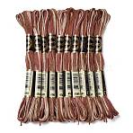 10 Skeins 6-Ply Polyester Embroidery Floss, Cross Stitch Threads, Segment Dyed, Sienna, 0.5mm, about 8.75 Yards(8m)/skein(OCOR-K006-A10)