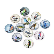 Flatback Glass Cabochons for DIY Projects, Animal Pattern, Dome/Half Round, Mixed Color, 12x4mm(X-GGLA-S029-12mm-017)