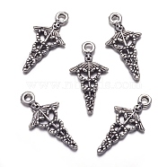 Tibetan Style Alloy Pendants, Caduceus Symbol for Medicine, Cadmium Free & Nickel Free & Lead Free, Antique Silver, 23x12x3mm, Hole: 2mm, about 1000pcs/1000g(TIBEP-N009-060AS-NR)