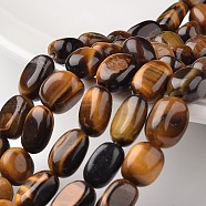 Nuggets Natural Tiger Eye Bead Strands, Tumbled Stone, 13~17x11~15mm, Hole: 1mm, about 27pcs/strand, 16.5 inch(G-M350-06)