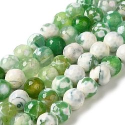 Dyed & Heated Natural Fire Crackle Agate Beads Strands, Faceted, Round, Medium Sea Green, 8mm, Hole: 1.2mm, about 49pcs/strand, 14.84''(37.7cm)(G-P539-B01-24)