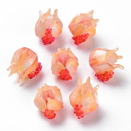 Plastic Beads, Pomegranate, PeachPuff, 15~16x15.5~17x13~14mm, Hole: 1.4mm(KY-N015-71-03)
