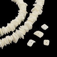 Chips Natural Dyed Seashell Beads Strands, Shell Shards, White, 2~6x5~16x2~5mm, Hole: 1mm, about 168pcs/strand, 16.1 inch(SSHEL-Q295-22A)