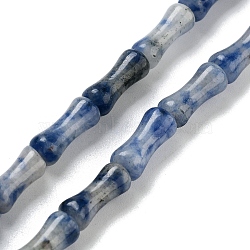 Natural Blue Spot Jasper Beads Strands, Bamboo Joint, 12x5x4mm, Hole: 1mm, about 32pcs/strand, 14.96''(38cm)(G-Q178-A16-01)