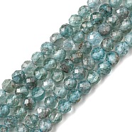 Natural Apatite Beads Strands, Faceted, Round, 3.2~3.5mm, Hole: 0.7mm, about 116~117pcs/strand, 15.12~15.35 inch(38.4~39cm)(G-C052-07)