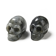 Halloween Natural Labradorite Display Decorations, Home Decorations, Skull, 35~37x30~31x48~50.5mm(DJEW-K015-29)
