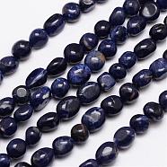 Natural Sodalite Bead Strands, Tumbled Stone, Nuggets, 9~11x9~11mm, Hole: 1mm, about 15.74 inch(G-L459-28)