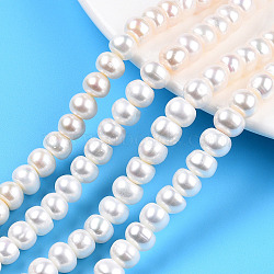 Natural Cultured Freshwater Pearl Beads Strands, Rondelle, Seashell Color, 8~9.5x5.5~7mm, Hole: 0.7mm, about 56~60pcs/strand, 14.88 inch~15.87 inch(37.8~40.3cm)(PEAR-N015-08A)