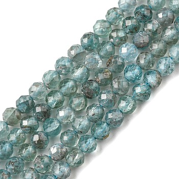 Natural Apatite Beads Strands, Faceted, Round, 3.2~3.5mm, Hole: 0.7mm, about 116~117pcs/strand, 15.12~15.35 inch(38.4~39cm)