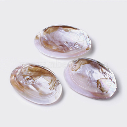 Natural Freshwater Pearl Shell Decoration, 135~170x95~110x30~40mm(SHEL-K002-01A)