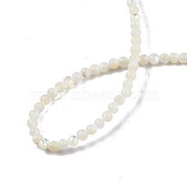 Brins de perles de coquillage blanc naturel(X-SSHEL-N003-144A-01)-4
