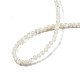 Brins de perles de coquillage blanc naturel(X-SSHEL-N003-144A-01)-4