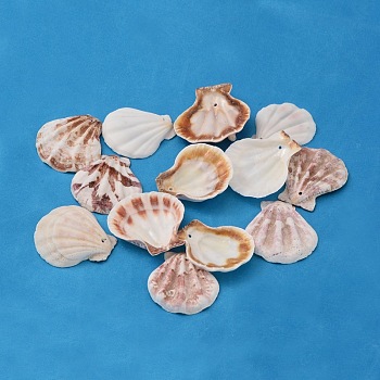 Natural Scallop Shell Beads, Sea Shell Beads, Dyed, Mixed Color, 32~45x29~42x6~7mm, Hole: 2mm, about 90pcs/500g