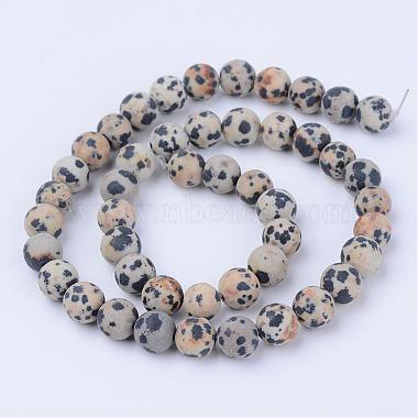 Natural Dalmatian Jasper Beads Strands(G-Q462-10mm-05)-2