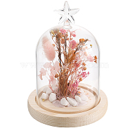 1Pc Glass Dome Cover, Decorative Display Case, Cloche Bell Jar Terrarium with Wood Base, Arch, Star, Finished Product: 113x161mm(AJEW-SC0002-61E)