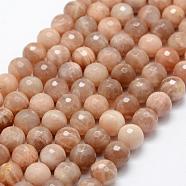 Natural Sunstone Beads Strands, Faceted, Round, 10~11mm, Hole: 1mm, about 38pcs/strand, 15.1 inch(38.5cm)(G-P322-24-10mm)