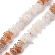 Natural Multi-Moonstone Beads Strands, Chip, Chip, 8~17x8~10x5~8mm, Hole: 1mm, about 15.35~15.75 inch(39~40cm)(G-L610-A12-03)