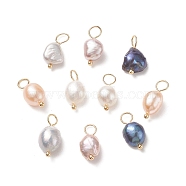 Natural Cultured Freshwater Pearl Pendants, with Brass Ball Head Pins, Two Sides Polished, Real 18K Gold Plated, 15~17x6~9x5~7mm, Hole: 3.5mm(PALLOY-JF01949-01)