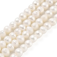 Natural Cultured Freshwater Pearl Beads Strands, Potato, Old Lace, 4~4.5mm, Hole: 0.5mm, about 38pcs/strand, 6.89~7.09 (17.5~18cm)(PEAR-C003-10A)