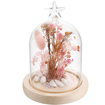 1Pc Glass Dome Cover, Decorative Display Case, Cloche Bell Jar Terrarium with Wood Base, Arch, Star, Finished Product: 113x161mm