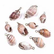 Electroplate Spiral Shell Pendants, with Iron Findings, Golden, Seashell Color, 18~30x9~14x8~12mm, Hole: 1.4mm(X-SSHEL-T009-22)