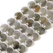Natural Labradorite Bead Strands, Faceted, Flat Round, 10~10.5x10.5~11x5.5~6mm, Hole: 1mm, about 29pcs/strand, 14.76 inch(37.5cm)(G-C116-A10-01)