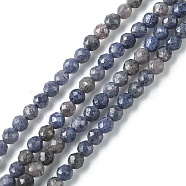 Natural Sapphire Beads Strands, Faceted, Round, 2~2.5mm, Hole: 0.6mmabout 167~173pcs/strand, 15.12~15.63 inch(38.4~39.7cm)(G-F748-M01-01)