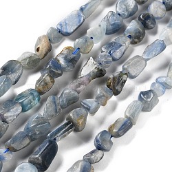 Natural Kyanite Beads Strands, Nuggets, Tumbled Stone, 4.5~11.5x3~7x3.5~6mm, Hole: 1.2mm, about 48~68pcs/strand, 15.35~15.94''(39~40.5cm)(G-P497-01C-60)