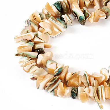 1 brin de perles de coquillages naturels(SSHEL-TA0001-12)-2