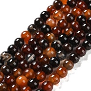 Natural Striped Agate/Banded Agate Beads Strands, Dyed, Round, Chocolate, 8mm, Hole: 1.2mm, about 24pcs/strand, 7.48''(19cm)(G-Z060-A01-B13)