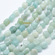 Natural Amazonite Beads Strands, Tumbled Stone, Nuggets, 7~10x6~9mm, Hole: 1mm, 15.7 inch(40cm)(G-K203-19)