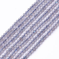 Natural Labradorite Beads Strands, Faceted, Round, 3mm, Hole: 0.5mm, about 134pcs/strand, 15.55 inch(39.5cm)(X-G-L581A-002)