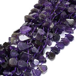 Natural Amethyst Beads Strands, Waterdrop-Shaped Nuggets, 10~21x8~13x2.5~6mm, Hole: 1mm, about 34~38pcs/strand, 15.75''(40cm)(G-E576-22)