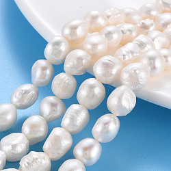 Natural Keshi Pearl Beads Strands, Cultured Freshwater Pearl, Potato, Seashell Color, 8~12x7~10x5~9mm, Hole: 0.6mm, about 31~32pcs/strand, 14.96 inch(38cm)(PEAR-S020-C02)