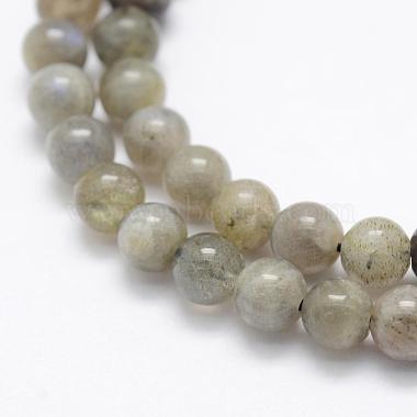 Natural Labradorite Beads Strands(G-P322-33-4mm)-3