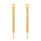 boucles d'oreilles en acier et titane(TI9508-3)-1