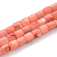 Natural Freshwater Shell Beads Strands, Dyed, Column, Salmon, 4~5.5x5mm, Hole: 0.6mm, about 74~75pcs/strand, 14.76~14.96 inch(37.5~38cm)(SHEL-F008-04F)