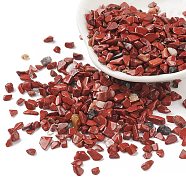 Natural Red Jasper Chips Beads, No Hole, 3~5x2~4mm, about 4300pcs/500g(G-O103-24)