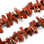 Natural Red Jasper Bead Strands, Chip, Red, 12~20x6~10x3~10mm, Hole: 1mm, about 104pcs/strand, 15.7 inch(X-G-R191-04)