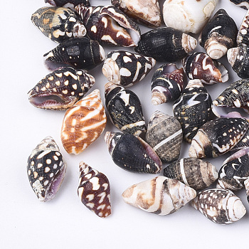 Spiral Shell Beads, Undrilled/No Hole Beads, Coconut Brown, 7~20x6~11x5~10mm, about 830pcs/500g
