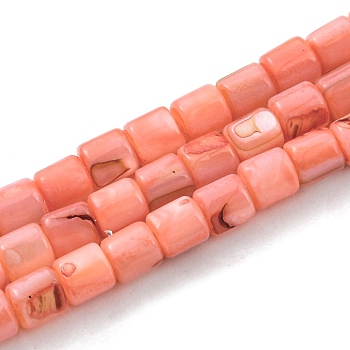Natural Freshwater Shell Beads Strands, Dyed, Column, Salmon, 4~5.5x5mm, Hole: 0.6mm, about 74~75pcs/strand, 14.76~14.96 inch(37.5~38cm)