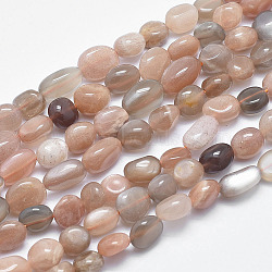 Natural Multi-Moonstone Beads Strands, Nuggets, 8~12x7~9mm, Hole: 0.8mm, 15.1 inch(38.5cm)(X-G-F547-06-B)