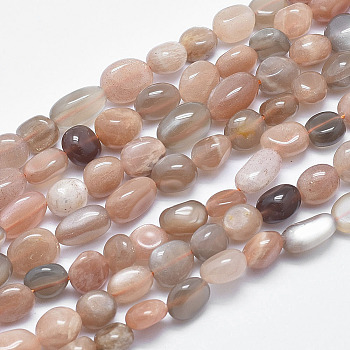 Natural Multi-Moonstone Beads Strands, Nuggets, 8~12x7~9mm, Hole: 0.8mm, 15.1 inch(38.5cm)