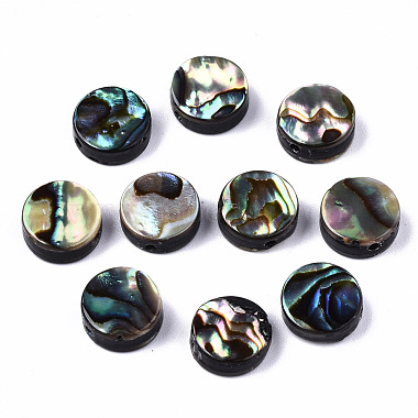 Colorful Flat Round Paua Shell Beads