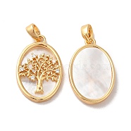 Brass Shell Pendants, with Cubic Zirconia, Oval with Tree of Life Pattern, Real 18K Gold Plated, 21.5x14x3mm, Hole: 3.4x2mm(X-KK-M243-34G)