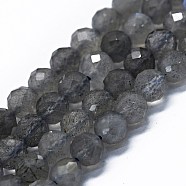 Natural Labradorite Beads Strands, Faceted(64 Facets), Round, 6mm, Hole: 0.8mm, about 62~67pcs/strand, 15.16~15.55 inch(38.5~39.5cm)(G-G927-47)