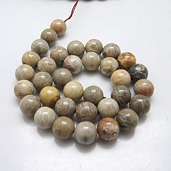 Natural Fossil Coral Beads Strands, Round, 8mm, Hole: 1mm, about 48pcs/strand, 15.5 inch(X-G-G212-8mm-31)