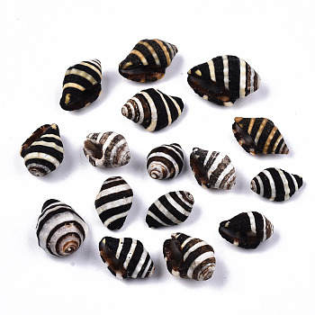Natural Spiral Shell Beads, Undrilled/No Hole Beads, Black, 10.5~16x6~11.5x6~10mm